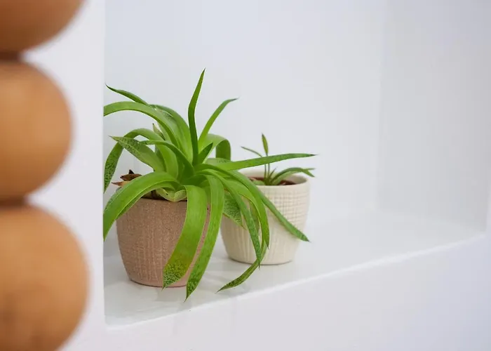 Theodora Luxury Daire Naxos City