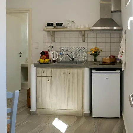 Theodora Luxury 아파트 Naxos City