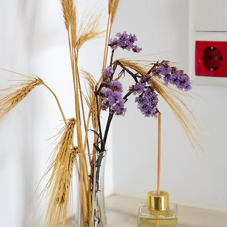 Apartment Theodora Luxury *