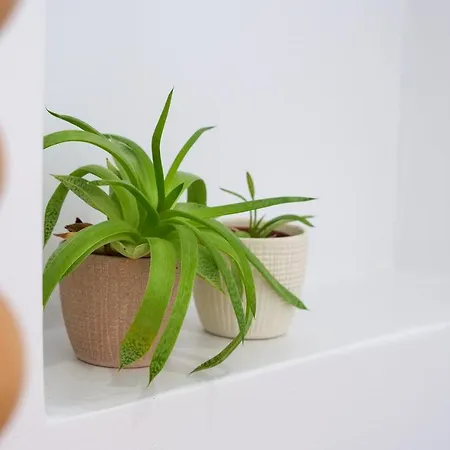 Theodora Luxury アパート Naxos City